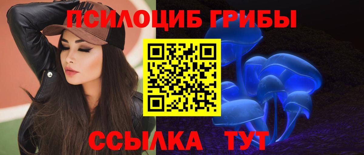 Галлюциногенные грибы Psilocybine cubensis Ялта