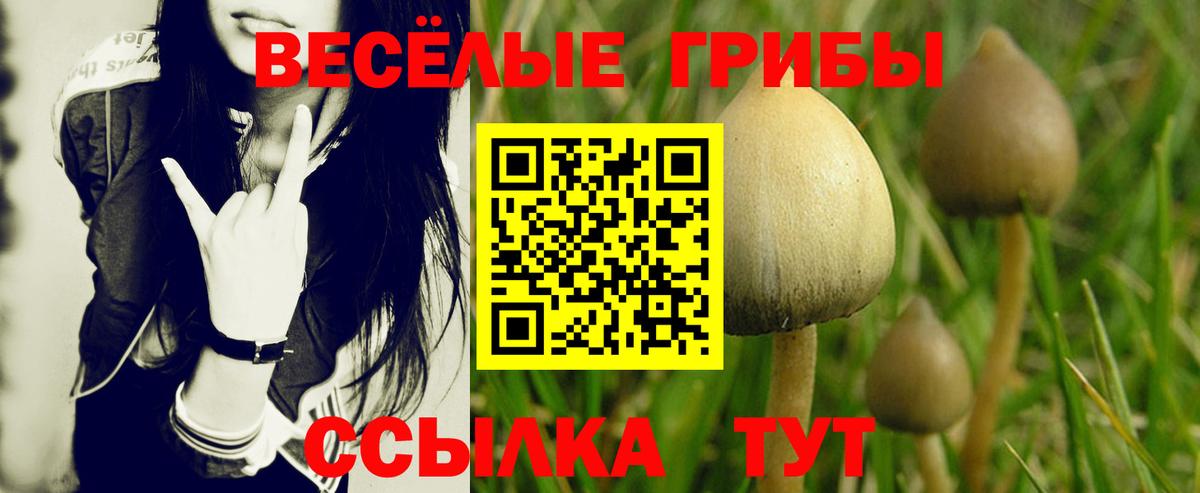 Псилоцибиновые грибы GOLDEN TEACHER  Вход с VPN  как найти закладки  Ялта 